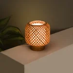 DSC_6555-00copyOFFcopy2